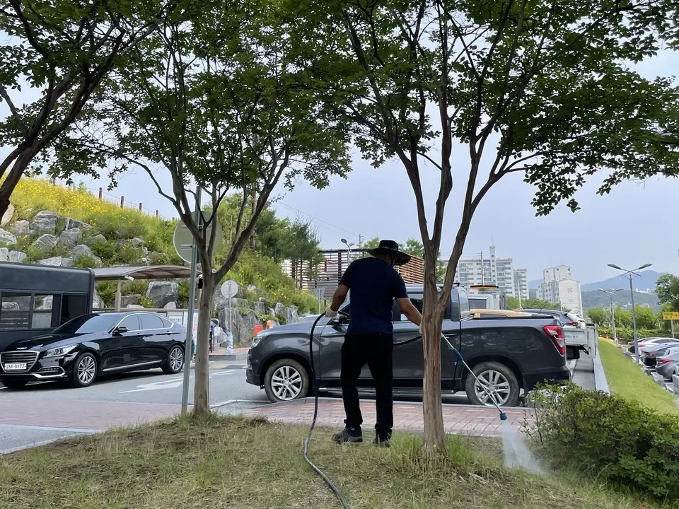 공동주택 수목에 약제를 살포하는 작업자
