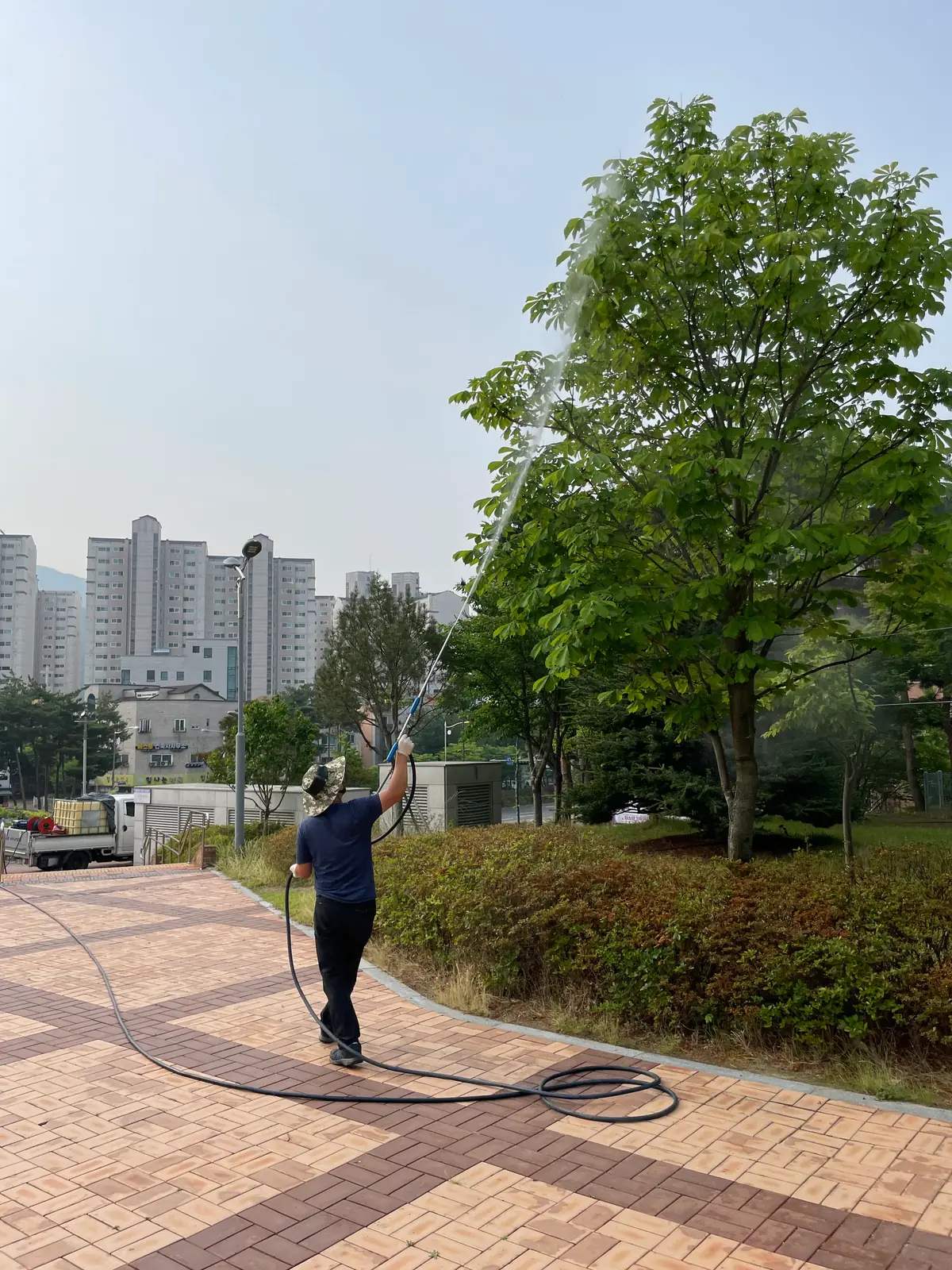 공동주택의 높은 수목을 방제하는 작업자